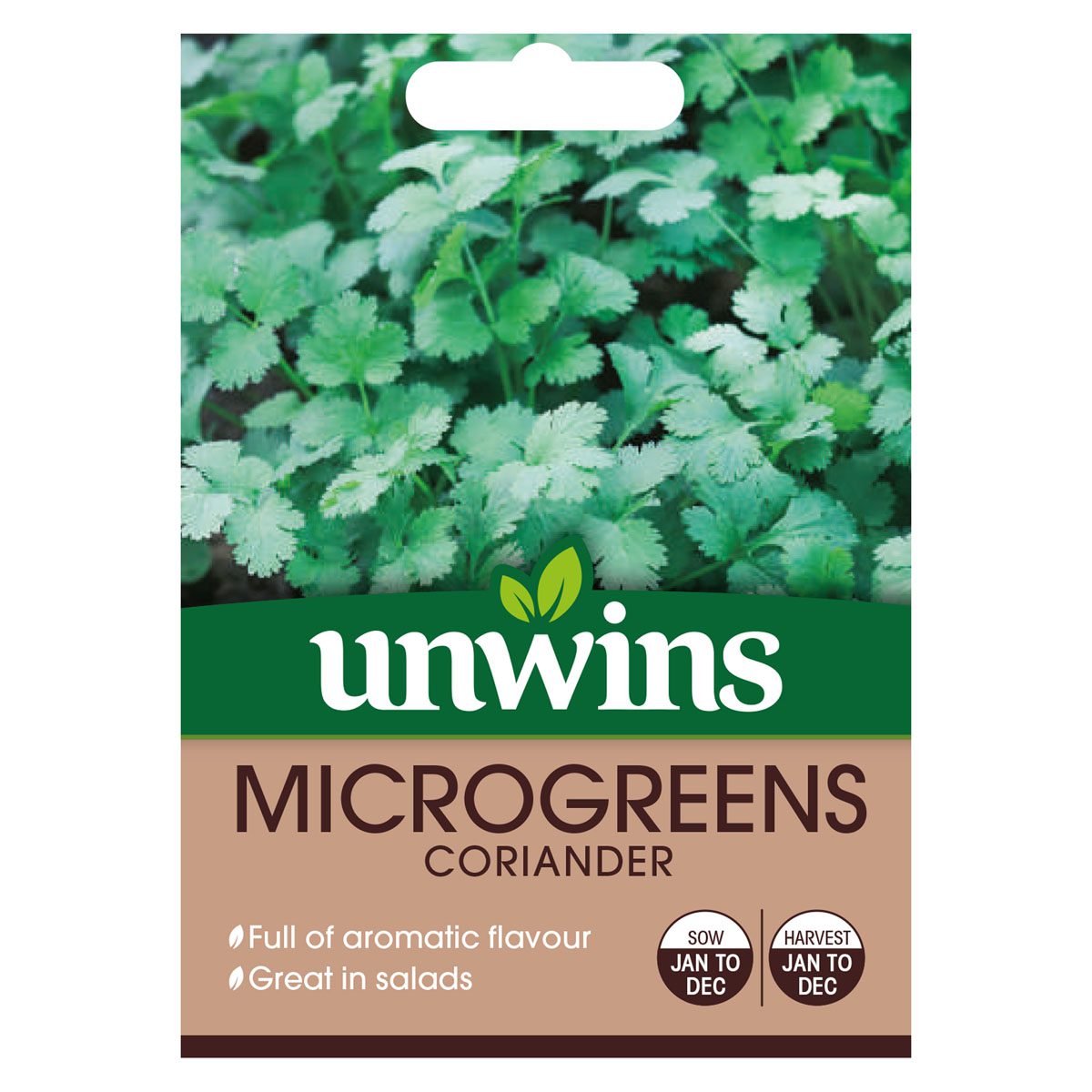 5051618030533 1 Microgreens Coriander Seeds.jpg